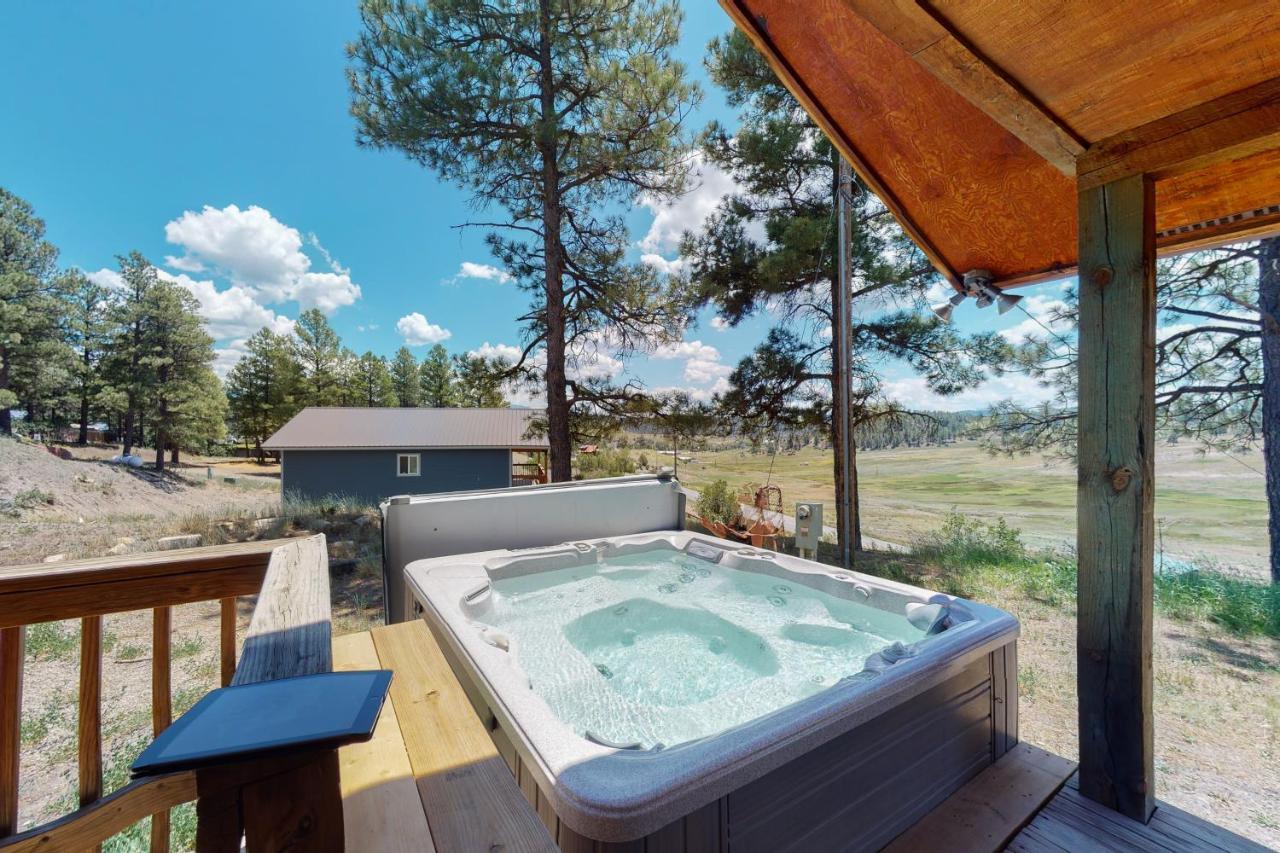 Split Pine Cabin Pagosa Springs Εξωτερικό φωτογραφία
